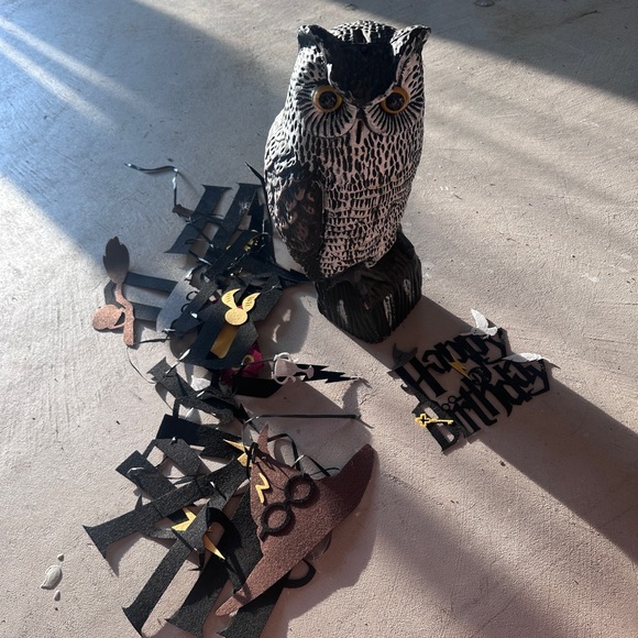 Harry Potter birthday kit - Picture 2 of 2